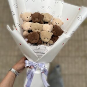 بوکت خرسیM101