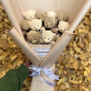 بوکت خرسی M111