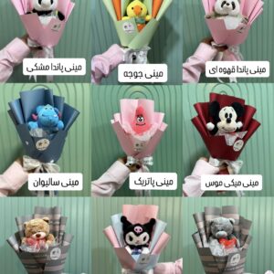 مینی بوکت
