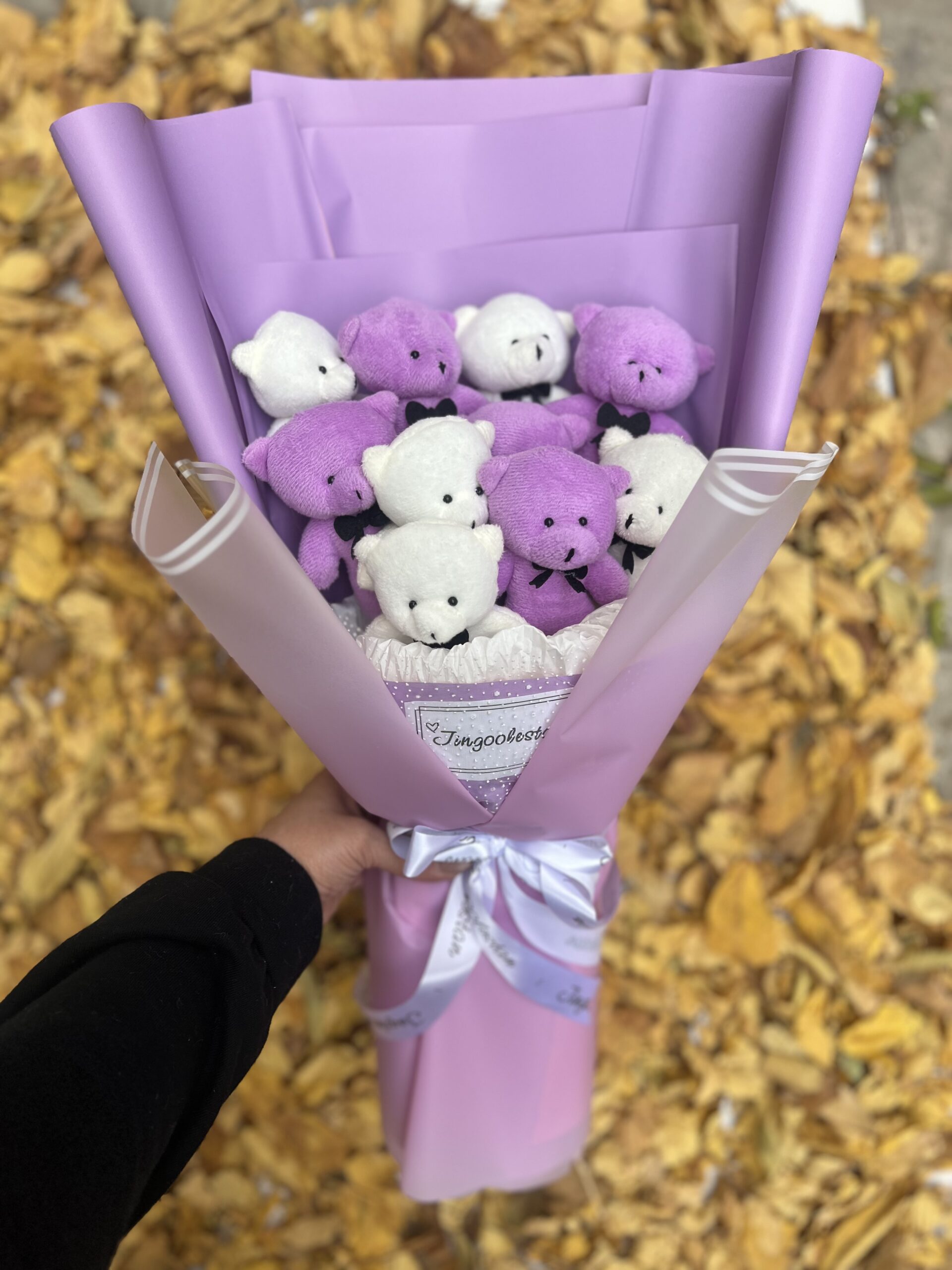 بوکت خرسی M113 1 بوکت خرسی M113